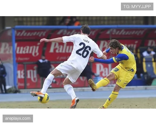 维罗纳边路进攻表现稳健，战术执行持续提升