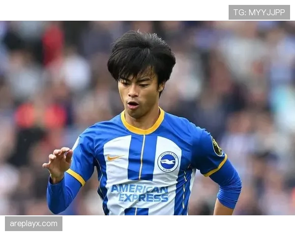 英超布莱顿 英超布莱顿